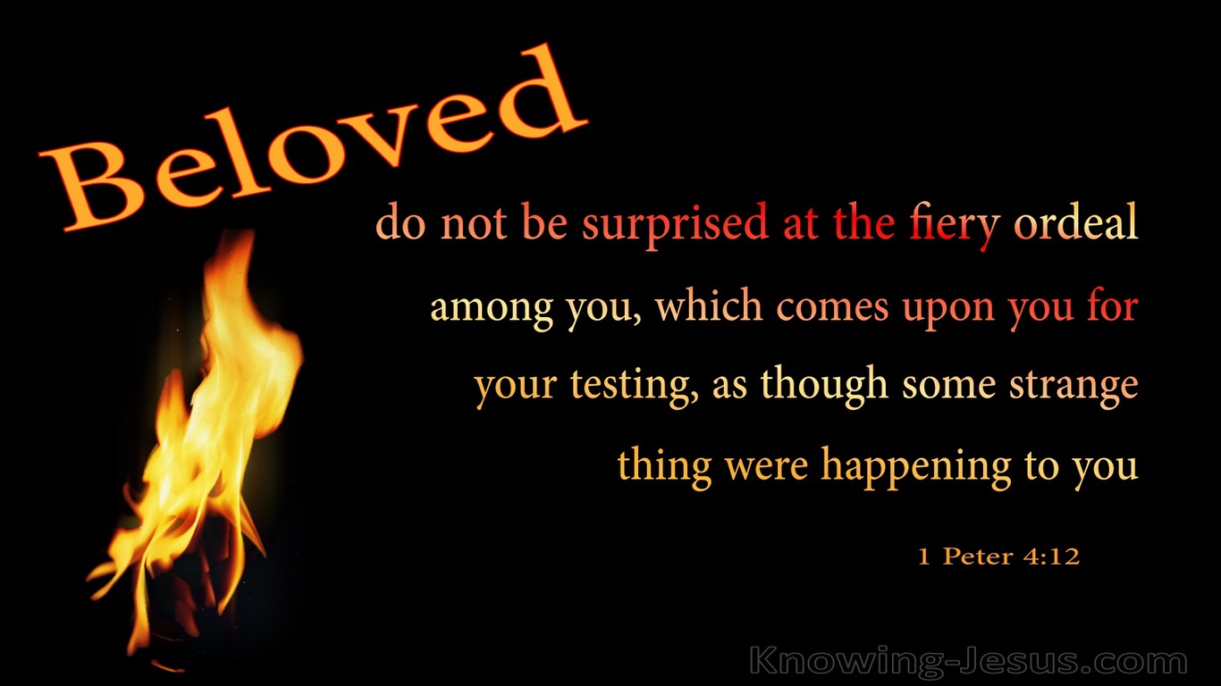 1 Peter 4:12 Do Not Be Surprised At The Fiery Ordeals (black)